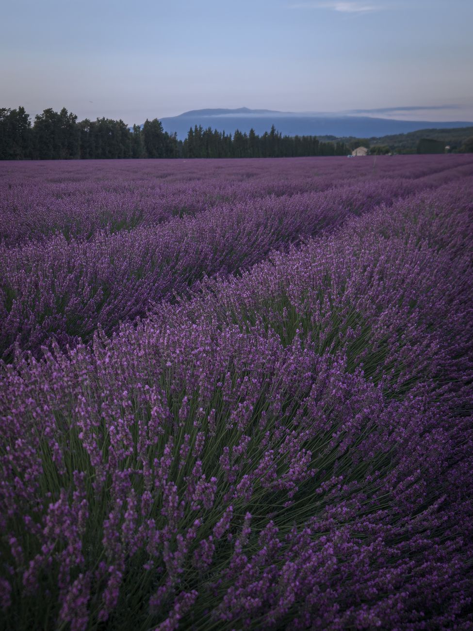 Paysage d'exception en France